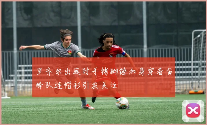 罗齐尔出庭时手铐脚镣加身穿着黄蜂队连帽衫引发关注