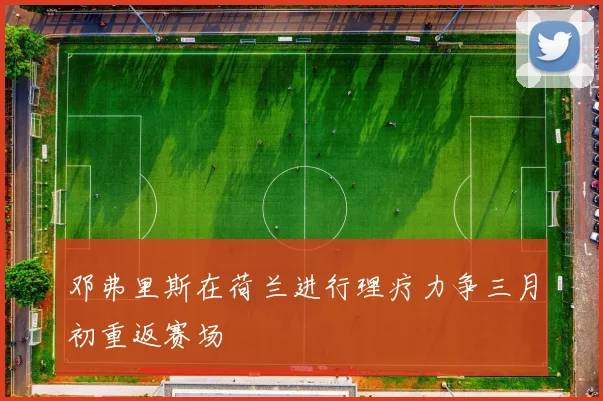 邓弗里斯在荷兰进行理疗力争三月初重返赛场