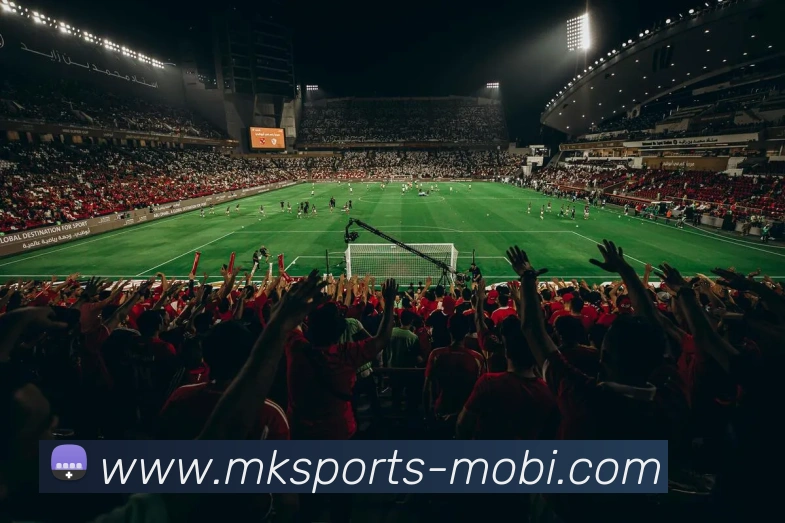 多媒体互动体验